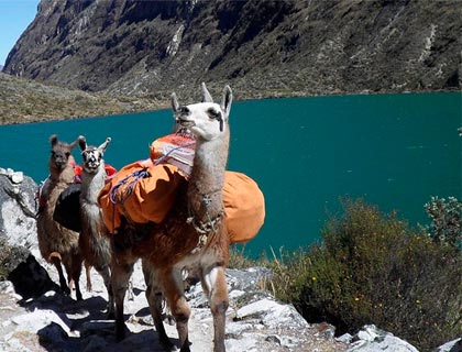 First Class 7-Day Lodge-Based Luxury Inca Trail to Machu Picchu