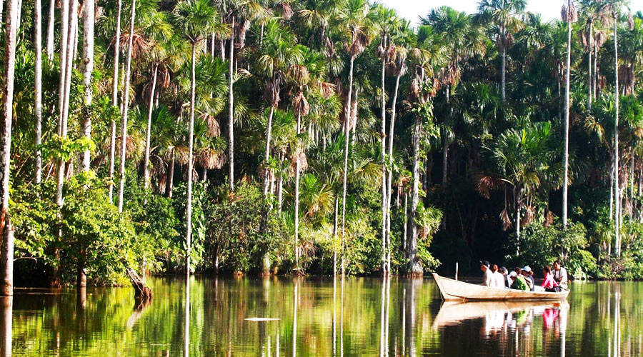 Tambopata National Reserve and the Beautiful Lake Sandoval